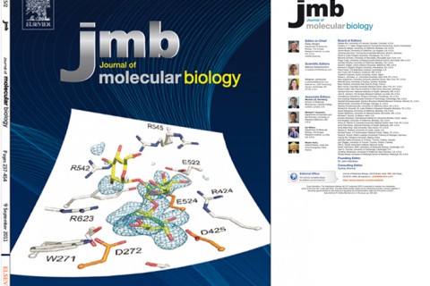 JMB  I  Journal of molecular biology I Création charte graphique