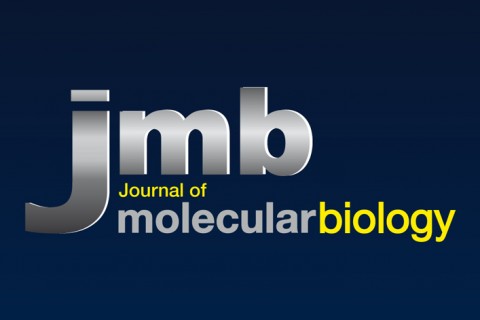 JMB I  Création Identité visuelle Journal of molecular biology